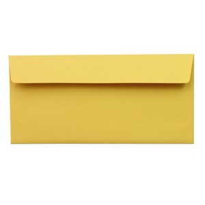 케이링크365 편지봉투 컬러봉투 10장 22cmX10.5cm 디자인편지봉투, 1개, 03엘로우10매