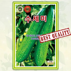 수세미 씨앗 20립 박 종자 씨 봄 여름 가을 수세미씨 KS, 1개