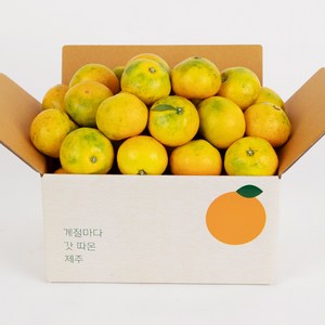 깨비농원 하우스감귤 2.5kg, 1박스, 2.5kg 중과(L-2L)