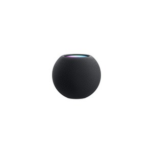 Apple 홈팟 미니 블루투스 스피커, Space Gray, MHY43CH/A