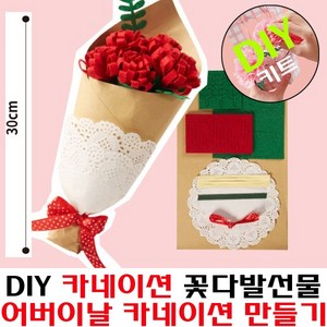DIY어버이날 펠트지 카네이션 꽃다발 만들기 키트 재료 30cm -스승의날 유치원 어린이집 단체 행사