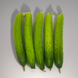 신선야채 백오이 백다다기 오이 특품, 1개, 5개(1kg 내외)