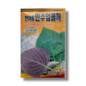 깻잎 씨앗 종자 한아름 만추 잎들깨 20g, 1개