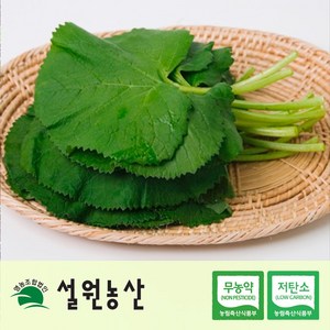 [친환경/저탄소/노지재배]강원도 곰취 나물/곤달비 나물, 1개, 1kg