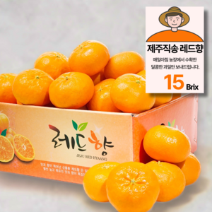 15bix 당도선별 제주 레드향 가정용, 1박스, 3kg(15과내외)