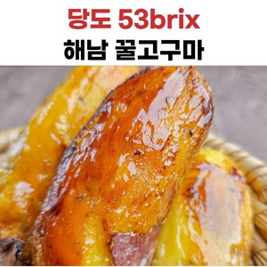 해남 황금꿀고구마, 3kg(특상), 1개