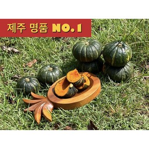 <제주빛가람> 제주 미니 밤호박 보우짱, 1박스, 4kg