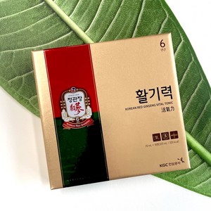 정관장몰 활기력 (쇼핑백 포함), 320ml, 1개