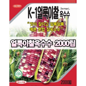 찰옥수수 씨앗 대용량 얼룩이찰 2000립 경신종묘, 1개