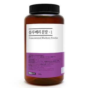 내몸생각 블루베리 대용량 300g 농축 분말 가루 파우더, 2개