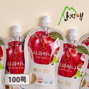 [리뉴얼] 산지애 사과원액주스 100팩, 100개, 100개, 120ml