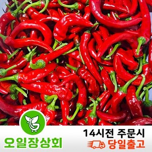 < 오일장 상회 > 국내산 홍고추 상등급 500g 1kg 2kg내외, 1개, 1kg내외