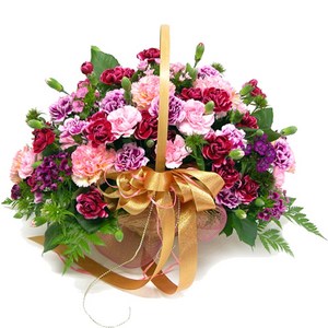 카네이션꽃바구니 어버이날선물 스승의날선물 축하꽃배달, A06 혼합카네이션