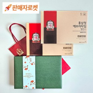정관장 홍삼정 에브리타임 밸런스 40포 400ml 정품 쇼핑백 백화점 포장 선물세트, 녹색