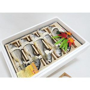 [왕후굴비]오가굴비 10미 20~21cm 내외(약1.1kg)