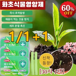 1+1 원예 과일 채소 식물 통용 영양봉 [30지 1팩] 통용형 식물 방출조절 영양봉 화초 식물영양제, [3+3]상자 포장