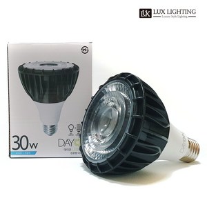 데이온 LED PAR30 30W COB 집중형 고효율 1등급 다이캐스팅 강화유리렌즈, 주백색, 1개