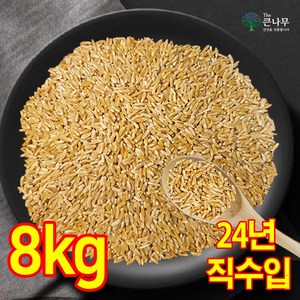 터키 호라산밀 수입사 직판 착한 탄수화물, 8kg, 1개