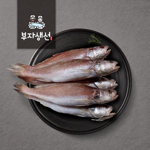 반건조 민어 조기 세트 반찬용 (부자생선), 민어조기34cm 5마리, 1세트