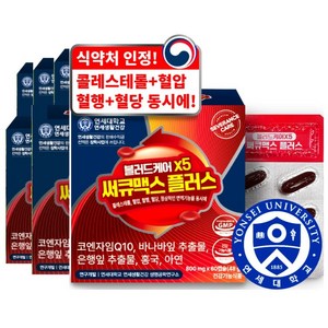 연세 헬스케어 블러드케어 X5 써큐맥스 플러스, 60정, 6개