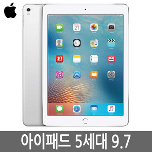 아이패드5세대 32GB 128GB WiFi 셀룰러 기가 정품, Wi-Fi