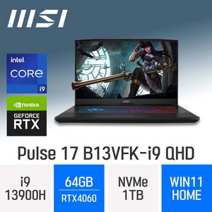 MSI Pulse 17 B13VFK-i9 QHD, WIN11 Home, 64GB, 1TB, 코어i9, 그레이