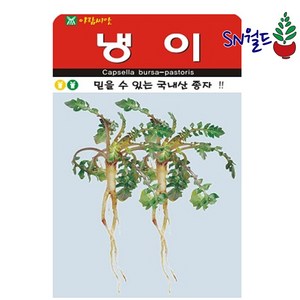 솔림텃밭몰 아람종묘 냉이씨앗 20000립 산채류 채소씨앗 나물씨앗 냉이, 3개
