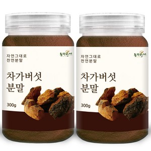 동의한재 프리미엄 러시아 차가버섯 분말 가루, 300g, 2개