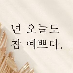 모노먼트 한글 감성 레터링 스티커 - 넌 오늘도 참 예쁘다, 검정