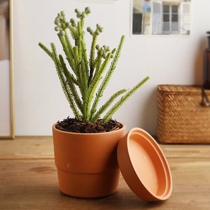 월드가드닝 남유럽 황토 토분 BIO 화분+받침 set, 네추럴황토, 1set