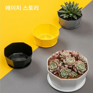 에이치 스토리 북유럽 다육 팔각 화분 (받침 포함/식물 미포함), 그레이, 1개