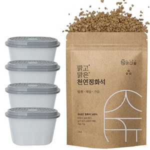 온다숲 반영구 천연 제습제 정화석 1kg + 용기 4개, 1세트