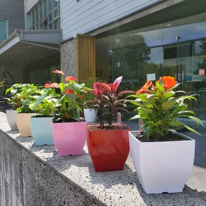 물 주는 시기를 알려주는 저면관수 미니화분 큐브14, 하늘, 1개