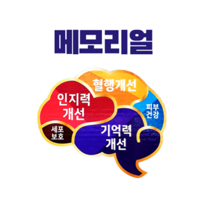 [수험생 노년기]메모리얼 인지력 기억력 포스파티딜세린 2개월분, 3박스, 120정