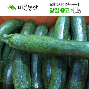 < 바른농산 > 국내산 주키니호박 쥬키니호박 못난이, 1개, 10kg