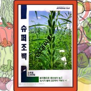 조생종참깨씨앗 신품종 조백참깨씨앗 쌍대깨 3000립, 슈퍼강우(조생종외대깨), 1개