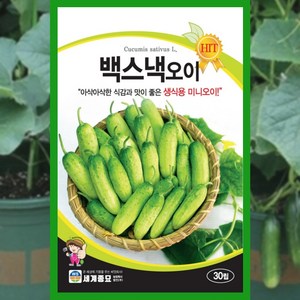 오이씨앗 30립 백스낵 오이 미니 씨앗 종자 채소, 1개