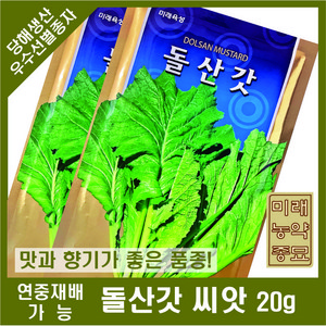 돌산갓 씨앗 20g, 1개