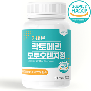 가벼운 락토페린 4500mg 식약청 HACCP 인증 뉴트라업, 60정, 1개