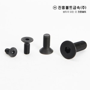 특강 접시머리 볼트 사라볼트 (6mm ~ 60mm), M5, 20mm, 1개