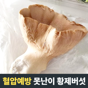 [혈압예방] 못난이 황제버섯 설원버섯 무농약 유기농 우리버섯 부드러운식감 버섯요리 무농약설원버섯, 1개, 1kg