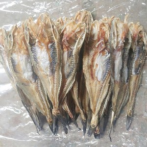 반한푸드 국내 서해안산 기수지역에서 말린 건조망둥어 (중.소)1kg 60~70 미 내외 말린망둥어, 1개, 1kg