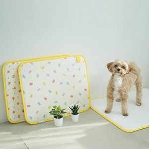 워싱배변패드 디자인 2장 SET, 한라봉, 2개, 1개