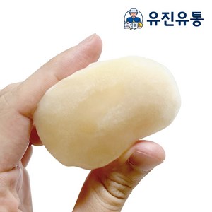 키조개 관자 16/20 사이즈 1kg 냉동 가이바시 통관자 삼합 버터구이 업소용 도매용 식자재납품, 1개