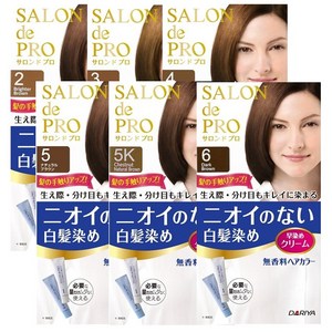 살롱드프로 무향료 여성 새치염색약 / 염색 염모 헤어컬러 새치 흰머리 셀프 저자극 순하고 간편 뿌리 일본 남성 여성 브라운 올리브 와인 로즈 윤기 부분 멋내기 스타일링, 3호 브라이트브라운, 1개