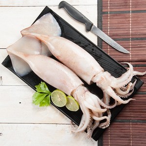 통 손질오징어 냉동 생물 4팩 8미 1040g 해썹, 단품, 4개