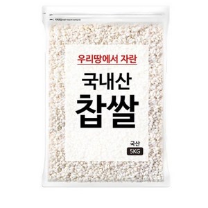 대구농산 국내산 찹쌀, 5kg, 2개