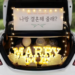 러브헌터 트렁크 프로포즈 용품 세트 결혼 장식, 11. 트렁크 SET11 (현수막 소형), d. 구매안함