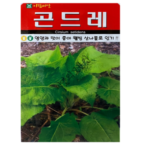 국산 동부콩씨앗 30g- 5 6월 파종, 1개