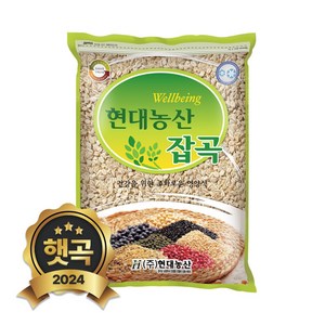 현대농산 국산 압맥 1kg 쌀보리, 1개